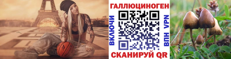 хочу   Кола  Псилоцибиновые грибы мицелий 